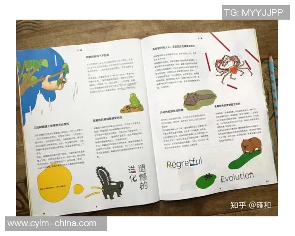 张帆的成长之路：从平凡少年到职场精英的奋斗故事与人生感悟